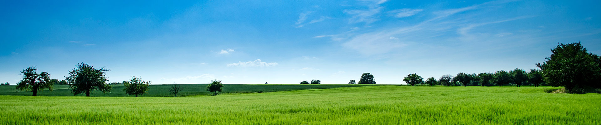 創(chuàng)優(yōu)質(zhì)品牌，鑄一流形象