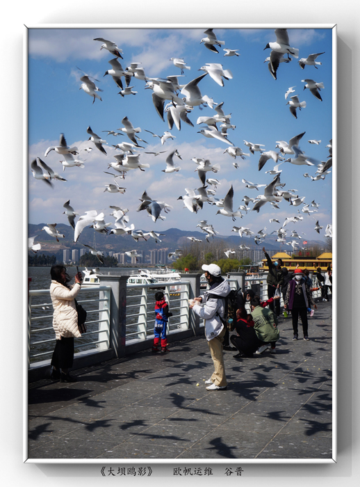 微信圖片_20200509210518.jpg 微信圖片_20200509210518.jpg